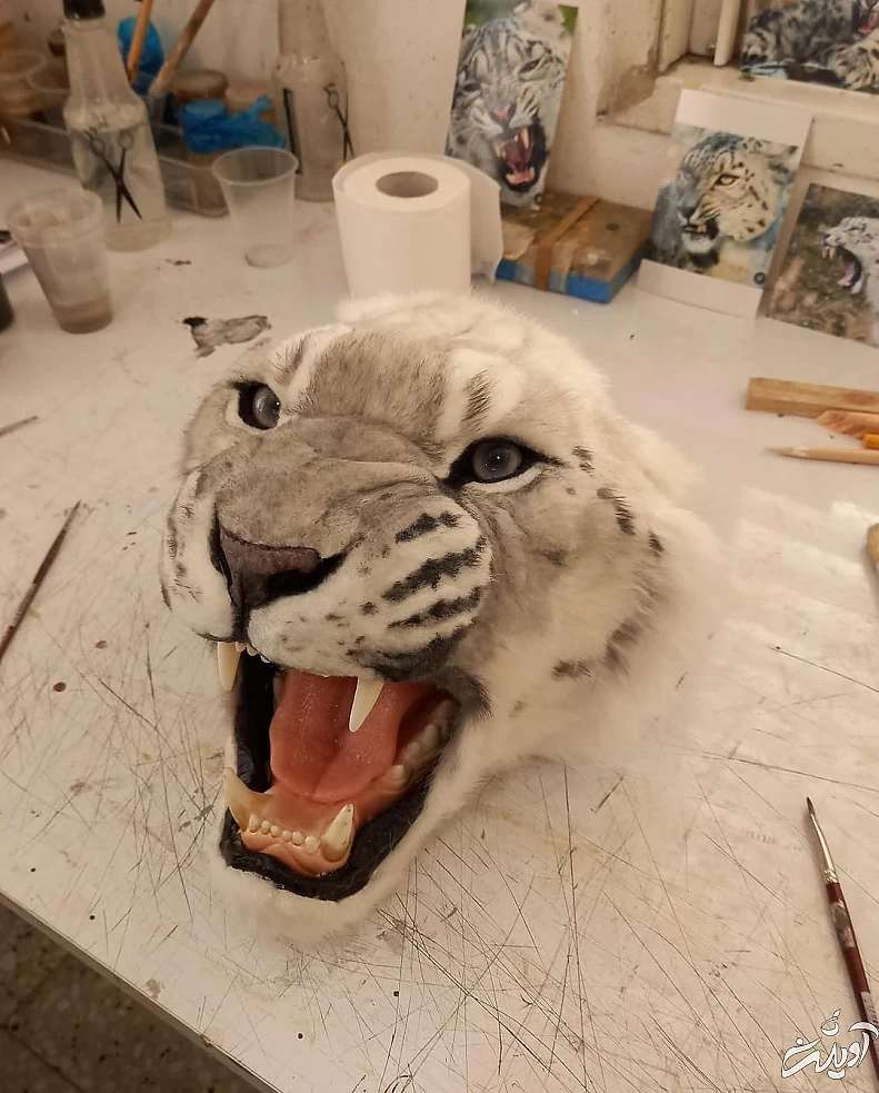 این زنان مشهور در ملاعام تبدیل به گرگ و پلنگ شدند